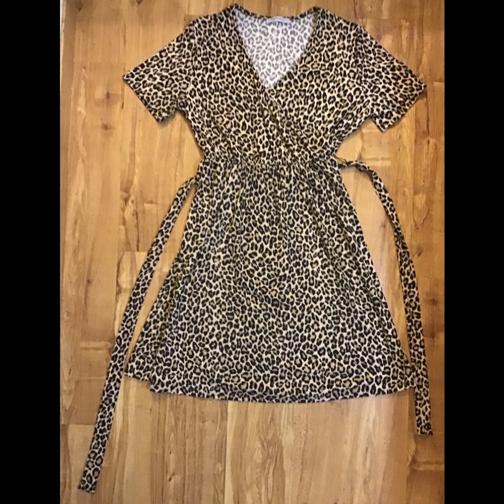 V-Neck Leopard Print Dress with Sash - Picture 3 of 8
